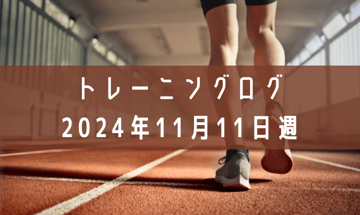 トレーニングログ：2024年11月11日週